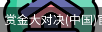 赏金大对决